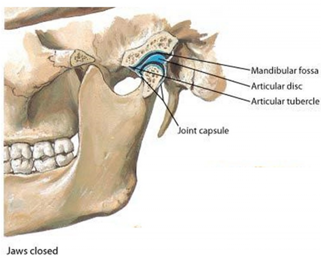 Neuromuscular Therapy for Temporomandibular Joint Disorders and