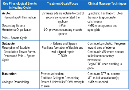 Shin Splints Stat Graph A Neuromuscular Approach to Shin Splints - National Holistic Institute Blog